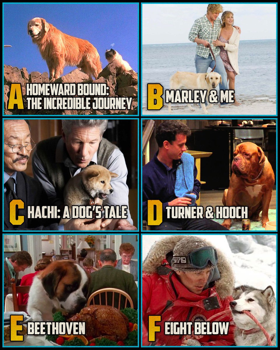 Happy #NationalPuppyDay! What’s your favorite dog movie?