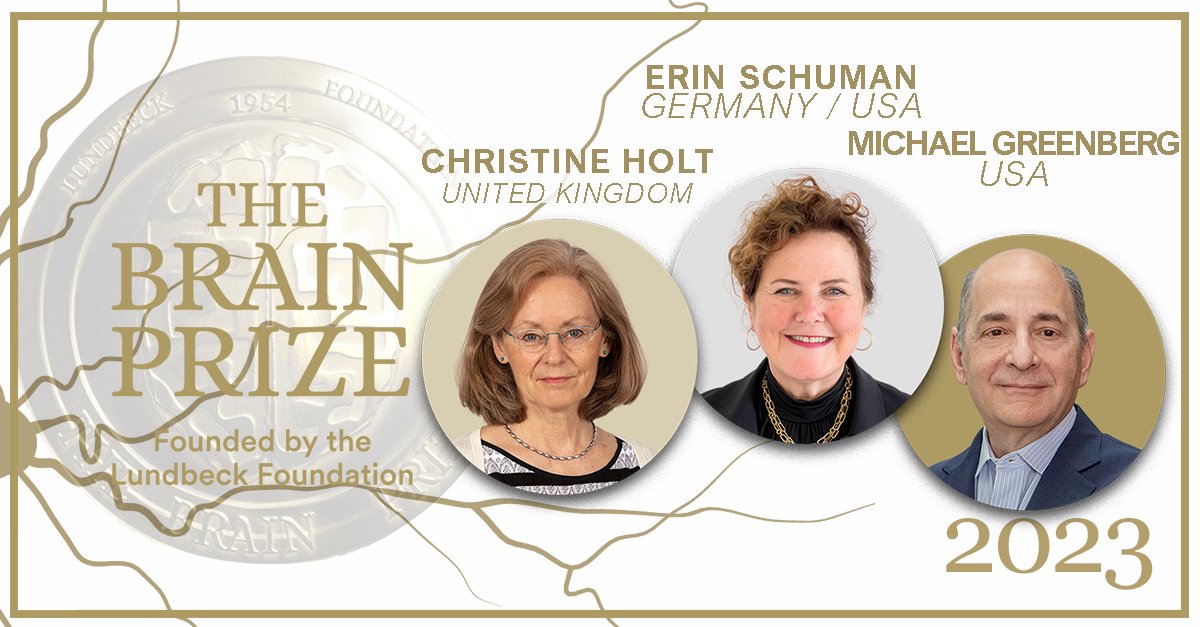 🤩 FENS warmly congratulates The Brain Prize 2023 awardees Prof. Michael Greenberg, Christine Holt and Erin Schuman for having revolutionised our understanding of how #neurons regulate the thousands of different proteins. Full press release: loom.ly/v4kCi4k @BrainPrize