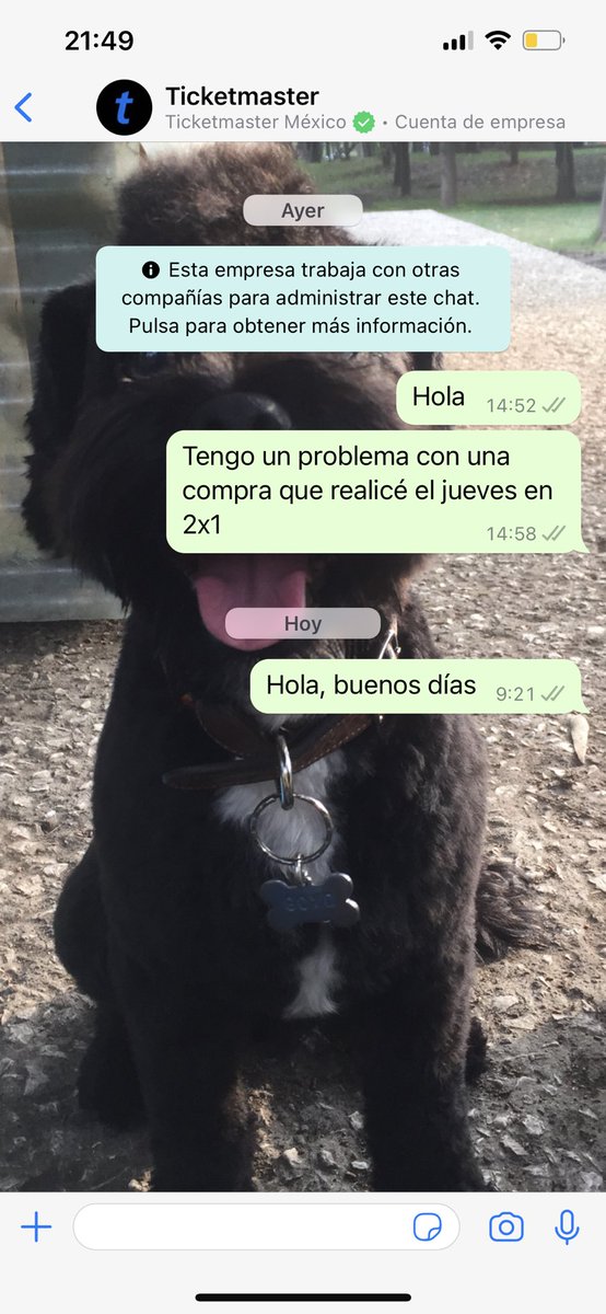 TanEzquerro's tweet photo. @Ticketmaster_Me @ServicioTM llevo 2 días, hoy serán 3 tratando de que me atiendan por MD, WhatsApp, botón de ayuda dentro de la compra y por mail; debido a una compra 2x1 que está mal y nadie responde. Me urge arreglar esta situación. Podrían contestarme, por favor? @GIJanne https://t.co/dzmjbZYuzu