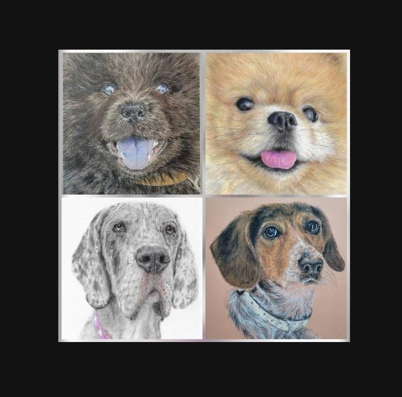 mee_mees's tweet image. #takingcommissions #dogportraits #petportraits