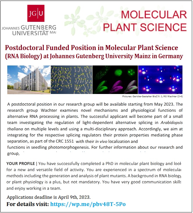 Agristok on Twitter "📌 Postdoctoral Funded Position in Molecular Plant