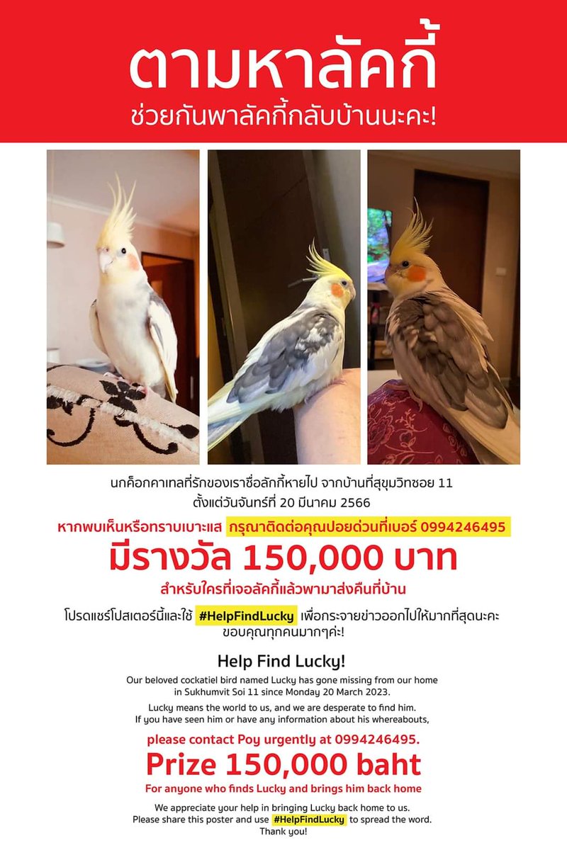 p3piiko's tweet photo. pls share t naka 🙏🏻 #HelpFindLucky https://t.co/4k4cBWwzfs