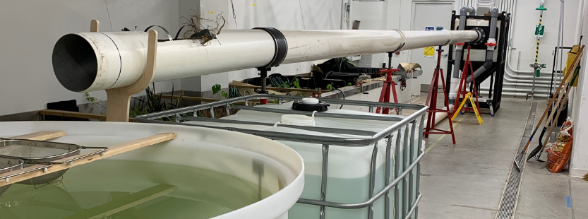 UrbanWaterTMU's tweet photo. The latest from the flushability lab and @yourturnorr's research on product dispersion in sewers: 
https://t.co/otj5tcEOeL

#flushability #waterresearch #IWSFG #donotflush https://t.co/n7FKLY1DXP