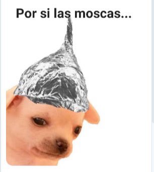 lobovox's tweet image. #PoderosoQuejumbroso me molesta que cuando profetizan un fin del mundo por terremoto o invasión alíen nunca digan a qué hora, digo para organizarme.