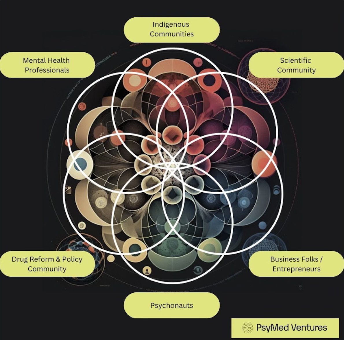 PsymedVentures's tweet photo. The psychedelic field is like a complex, multidisciplinary venn diagram.

🌿 Indigenous communities 🌱
🔬 Scientific community 🧪
💼 Business folks/entrepreneurs 💰
👁️‍🗨️ Psychonauts 🌀
💊 Drug reform &amp; policy community 🌡️
🧠 Mental health professionals 💆 https://t.co/f28hNHeDz9
