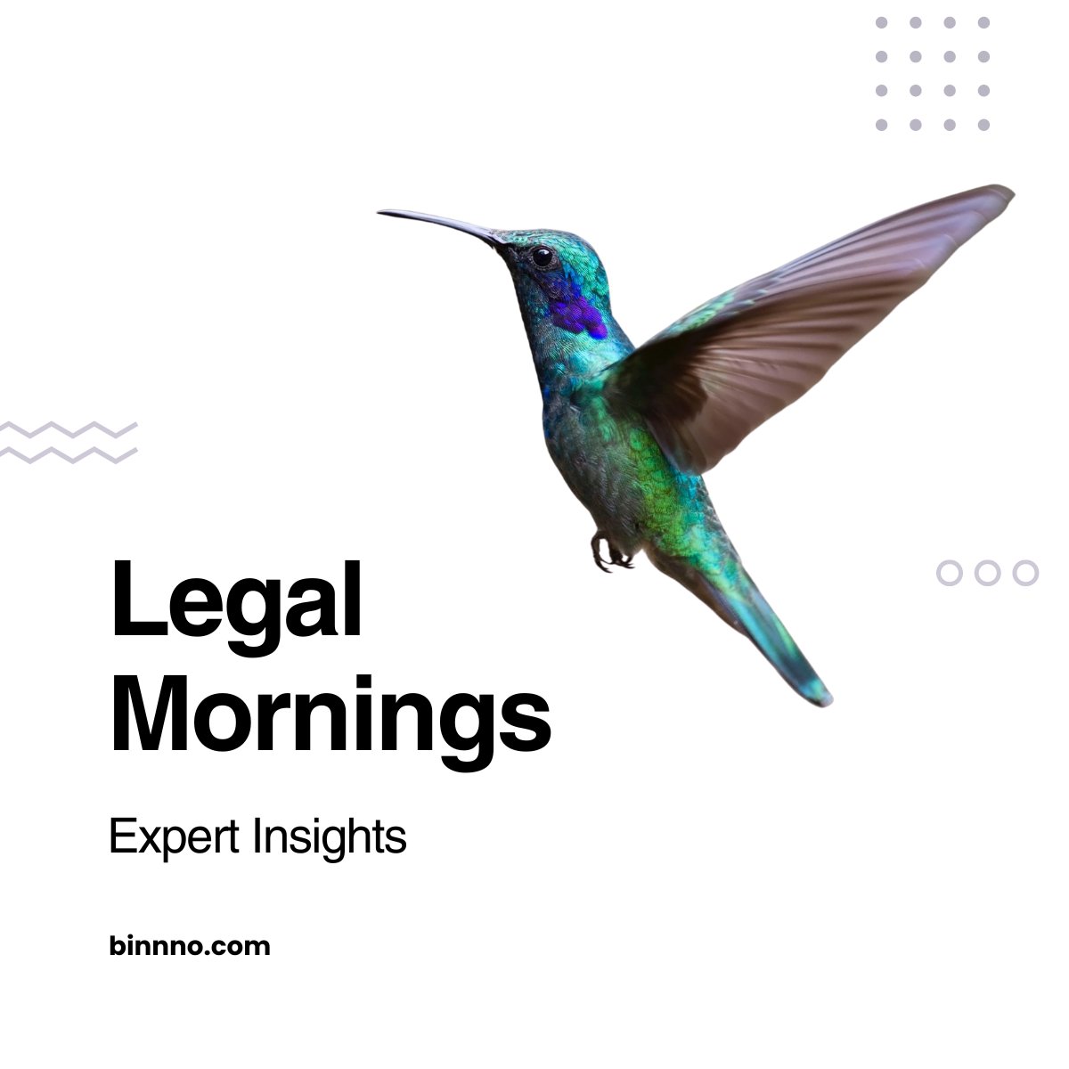 binnno_innov's tweet image. We are just getting started with our #virtualHub mornings with experts!

Please select the option that you are most interested in discussing with #legal #experts during our upcoming session on binnno.

bit.ly/42DlxD5