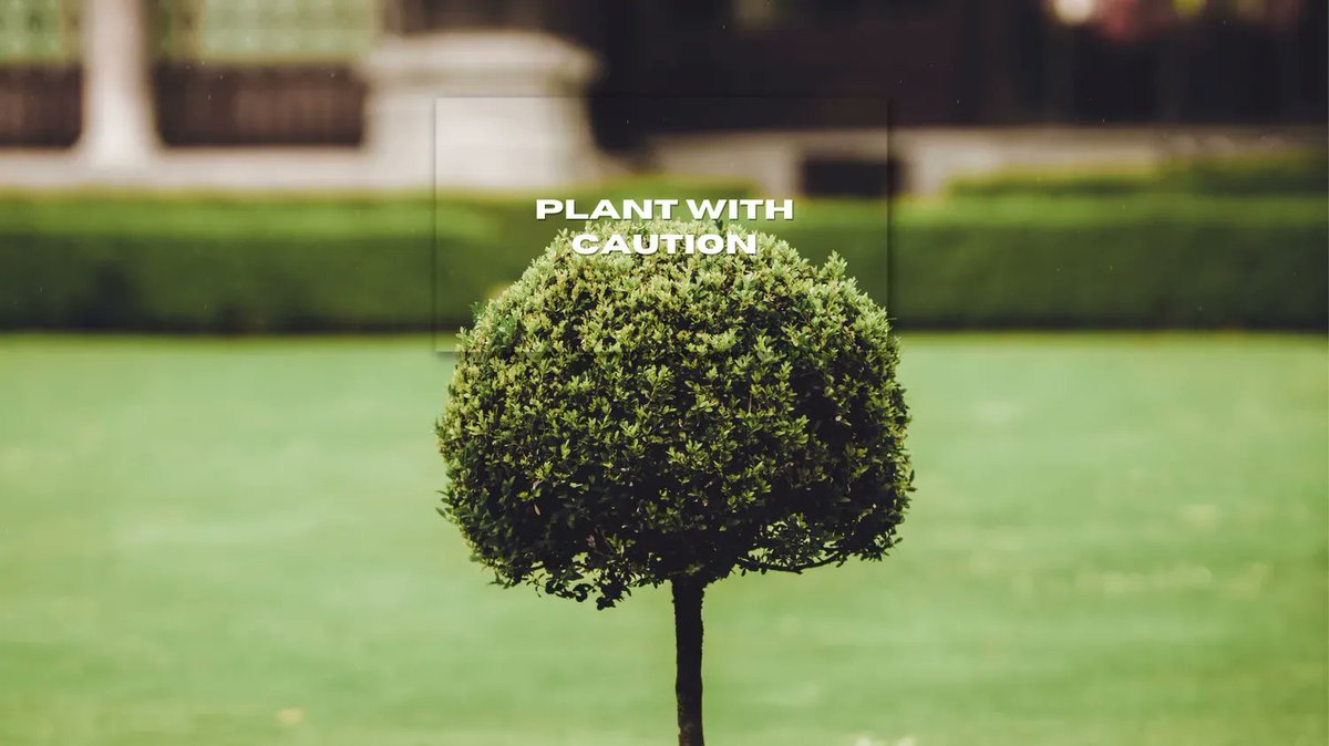 TheRamJack's tweet photo. Plant with 🏡 caution 🏡 Plant trees away from your house to avoid foundation damage caused by soil shrinkage from transpiration. Protect your home's foundation.  #FoundationIssues #Transpiration #HomeMaintenance https://t.co/6eBhS4qH6J