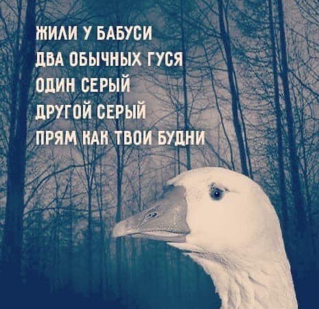 DantesDmitriy's tweet photo. https://t.co/RU4tedGQH4