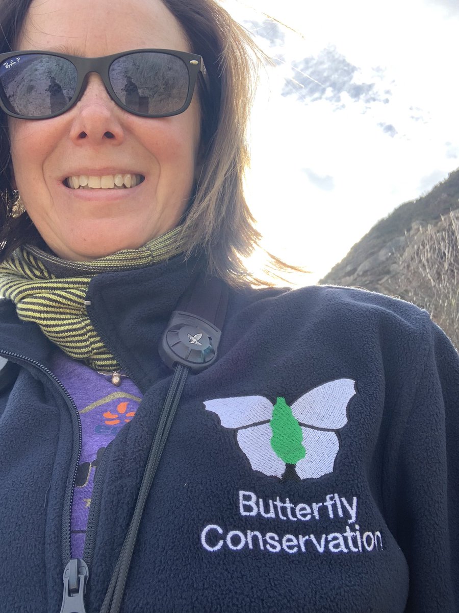 Tracytrees's tweet image. Got to love a day in the field. So good for the soul to get out of the office. Glorious weather and finally found some KV clinging on less than 2m from the sea! #speciesontheedge #SotE #projectwork #conservation #butterflies #pollinators #beach #getoutside @savebutterflies