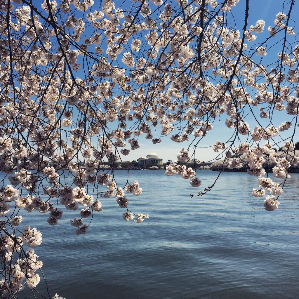 National Archives Foundation on Twitter "Have you gone to see the