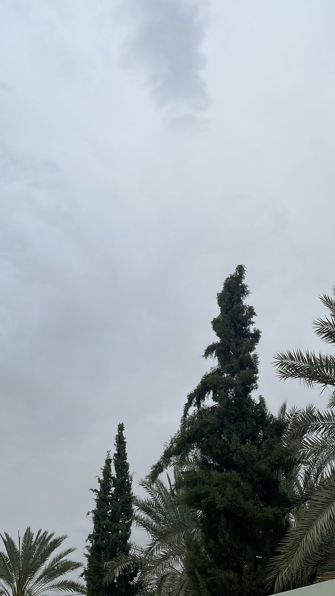 Rak1_0's tweet photo. جو لطيف و مفاجأة لطيفة 🥺💘🤍🤍🤍 https://t.co/NuSXgCmxlm