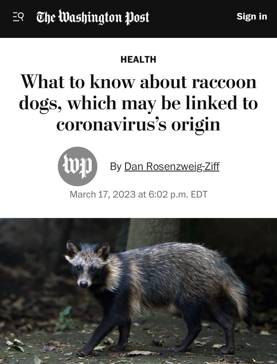 Clown World Today tweet media