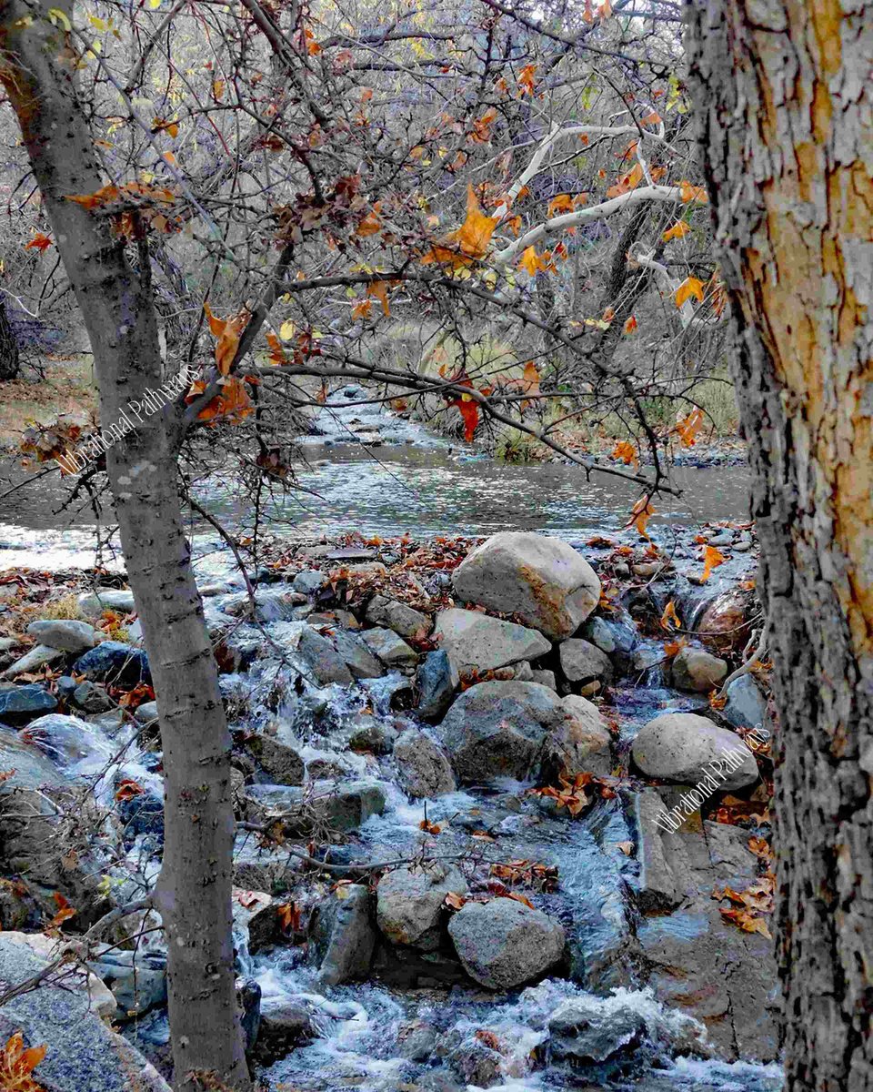 RobieJean1's tweet photo. Crisp fall morning at a Madera Canyon Stream in Green Valley AZ https://t.co/bMMFWR1rdb #naturePhotography #landscapeScenery #nature #mountainStreams #maderaCanyon #photography #water #fallColors #runningWater #mornings #mysticVenturesPhotos https://t.co/1YvWyQbbmz