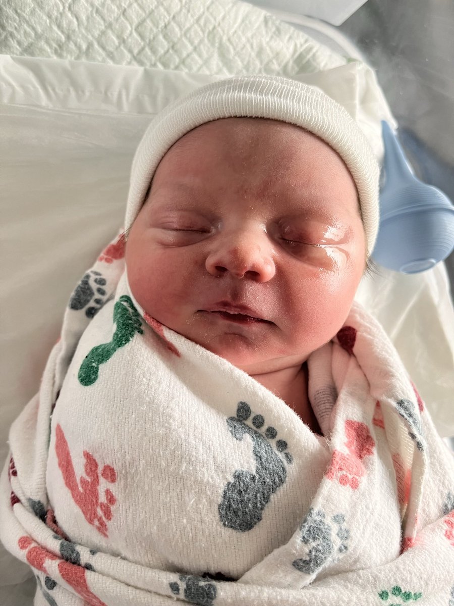 Matthew Marsden tweet media