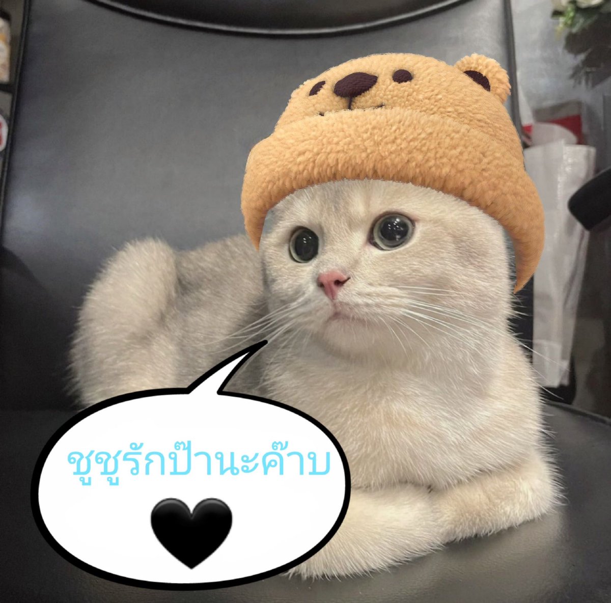 SuchindarTPW's tweet photo. 😽วาดอยากมาก ขอแต่งภาพใส่หมวกให้ชูชูนะค๊าบ อ้ายต้าวคนพี่มีความสุขนะค๊าบ 🖤#9LiveswithNet #netsiraphop https://t.co/rqzFsElprd