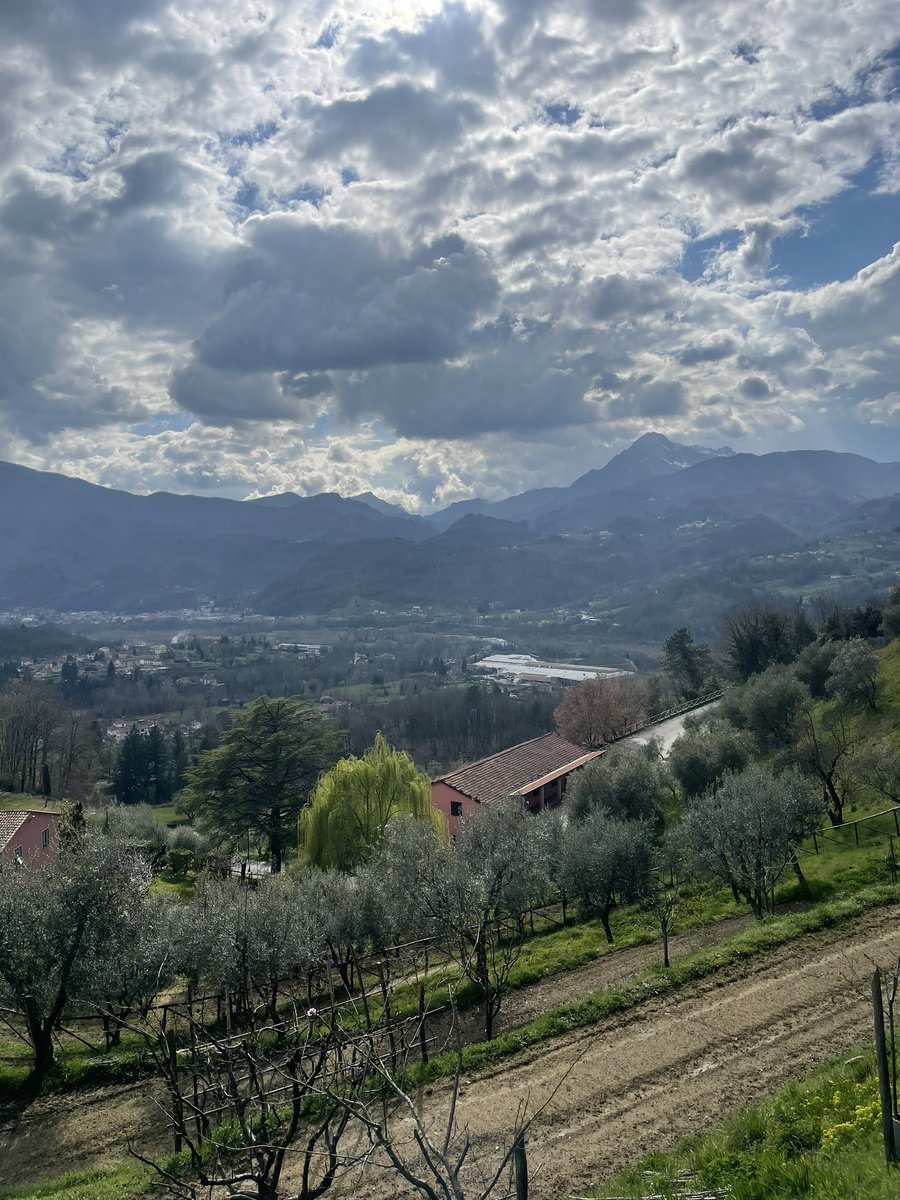 DelcoLab's tweet photo. Very proud of @Becka_Irwin_ for participating in @GordonConf #cartilageGRC and bringing home a poster session award! We’re quite jealous of her views from the conference center. #GRC https://t.co/B4EbCih41P