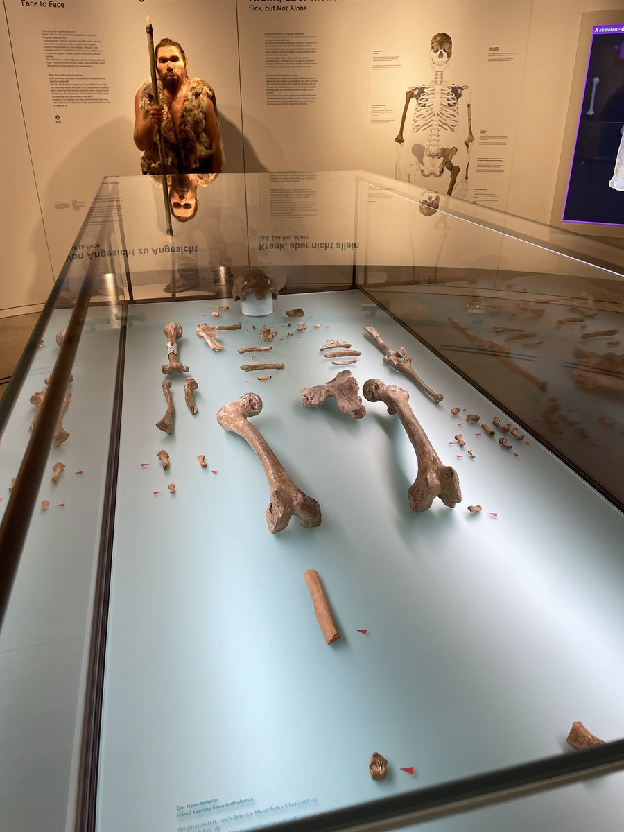 It’s <a href="/EacEuropean/">European Archaeological Council (EAC)</a> #EAC2023 we’re exploring the #archaeology of the modern period and enjoying spectacular exhibitions at #landesmuseum #Bonn