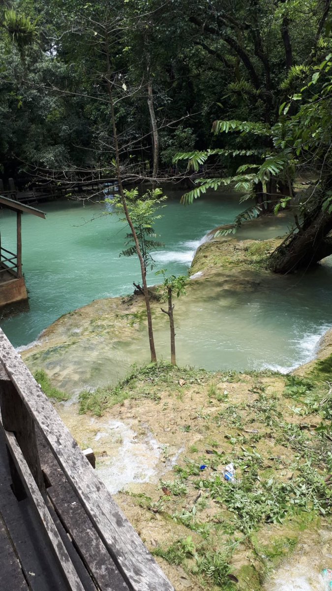 AnarckBlackCat's tweet photo. #Laos #Nature #Jungle #River #OneLove💚 #SaturnDrag0n 🐲🪐🔥🐉 https://t.co/vv8psUvaQQ