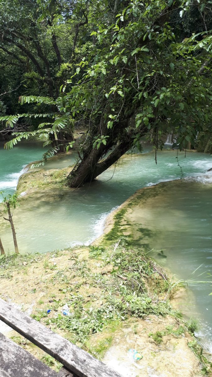 AnarckBlackCat's tweet photo. #Laos #Nature #Jungle #River #OneLove💚 #SaturnDrag0n 🐲🪐🔥🐉 https://t.co/vv8psUvaQQ