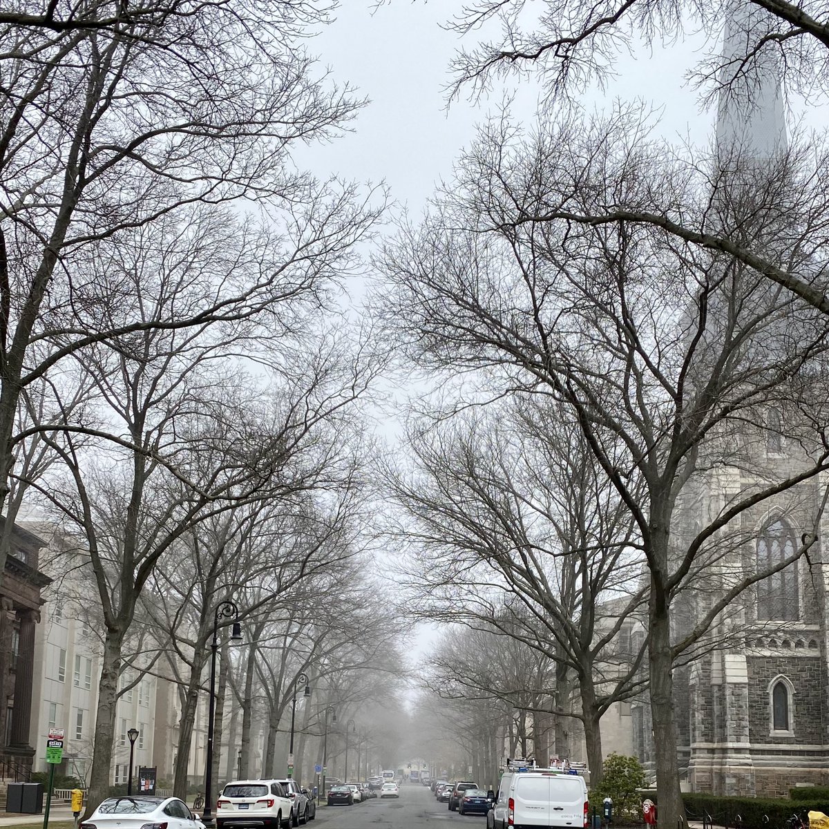 Chris Incarvito tweet media