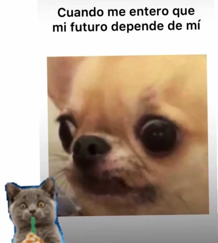 JMarianRL's tweet image. Que manera de despertar con The Blaze y anexo mi queja más grande 😂🤭🧇☕️🎶 #PoderosoQuejumbroso