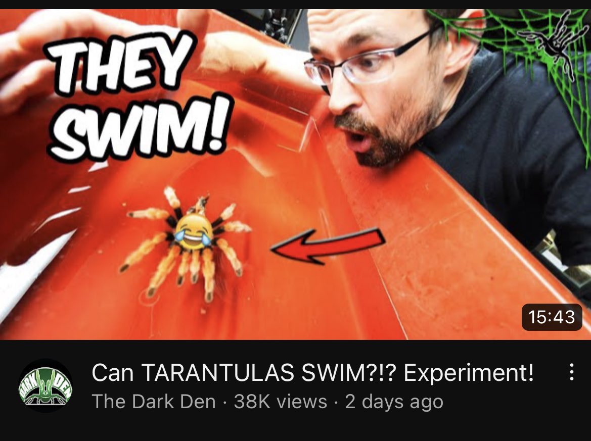 duccibag's tweet photo. very top of my recs. youtube gets me https://t.co/2N0vRAaLlM