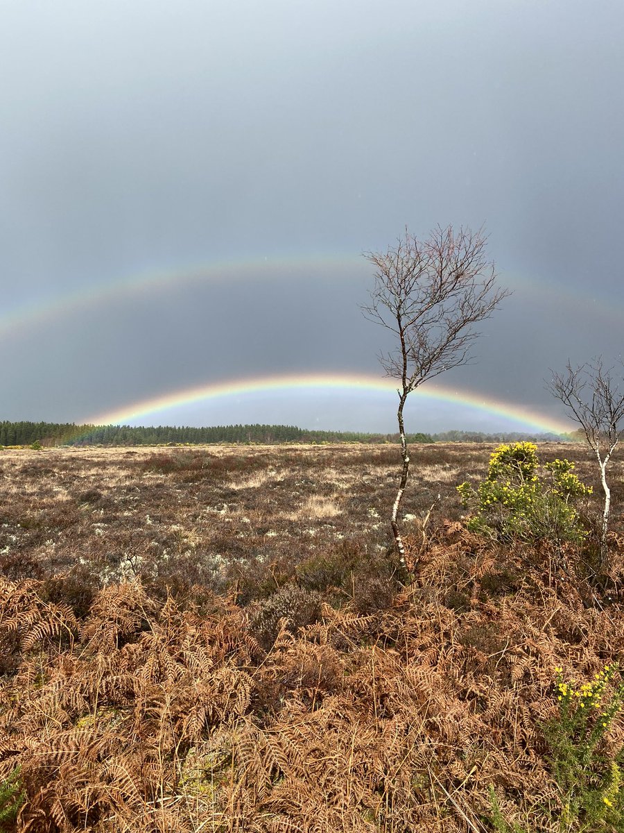 michellemadethis tweet media