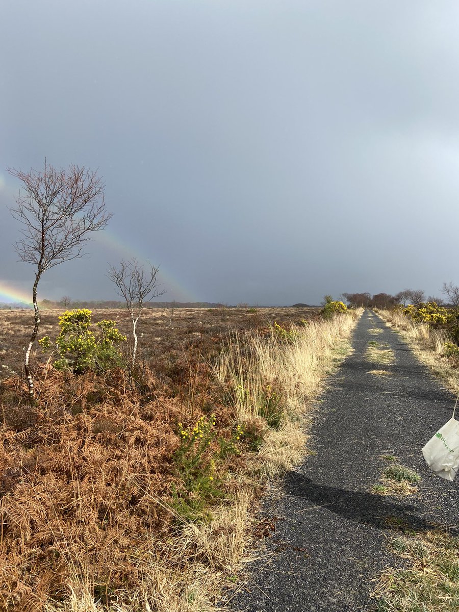 michellemadethis tweet media