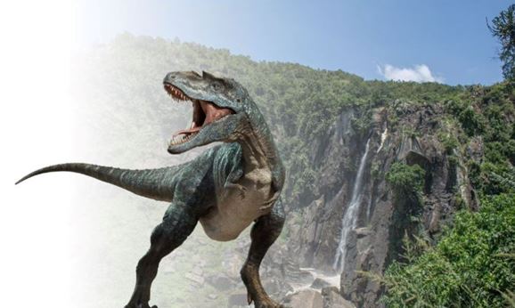 Join For Water tweet media