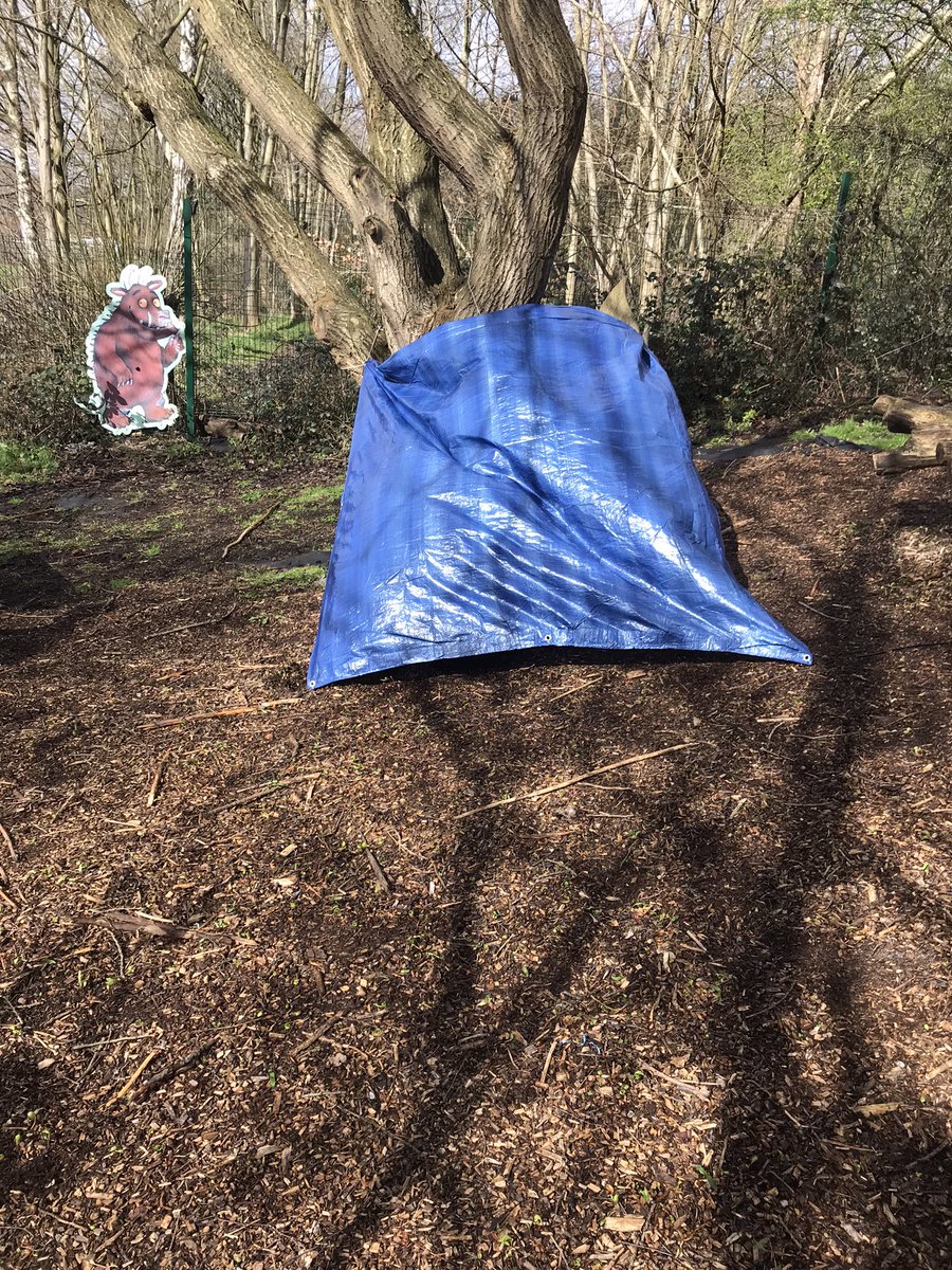 ForestJo21's tweet photo. Class 5 disappeared into their shelters this morning @BurnleyRoad! I tested them with my watering cans just to make sure they were waterproof!!😉
#forestactivities
#outdoorlearning https://t.co/PyAC84JTdc