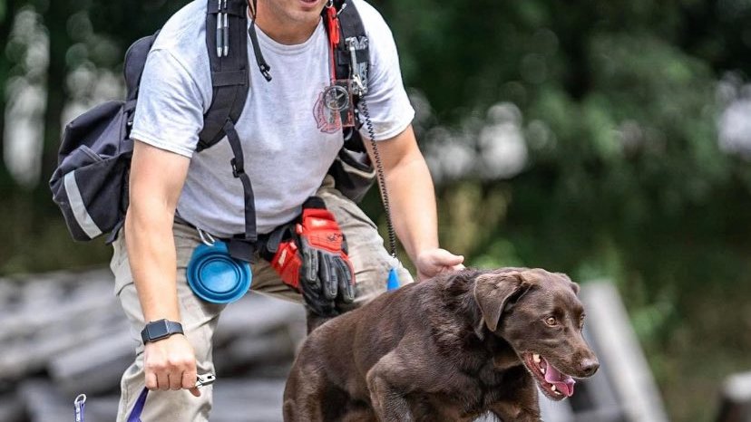 FEMAregion3's tweet photo. Pup-Pup-Puppy Preparedness! Include your pup's favorite toys, treats or bedding in your family's emergency kit. Familiar items can help reduce stress for your pet. Learn more about preparing your pooch at https://t.co/oPVtElLbg7 #NationalPuppyDay https://t.co/TstAmQmoca