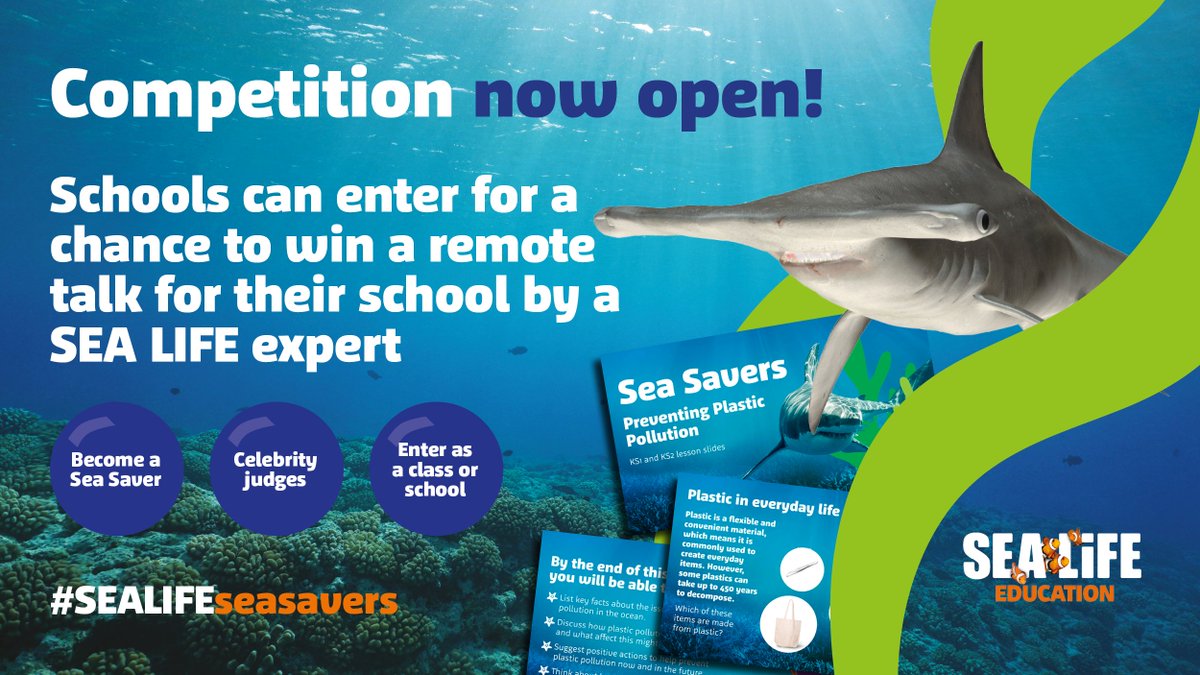 SEALIFE_Schools's tweet photo. Does your class have what it takes to become a Sea Saver? Check out https://t.co/y69hoQLTm6 to find out how your class could win a virtual talk from a SEA LIFE aquarist! #SEALIFESeaSavers https://t.co/7BkOz4Fuu5