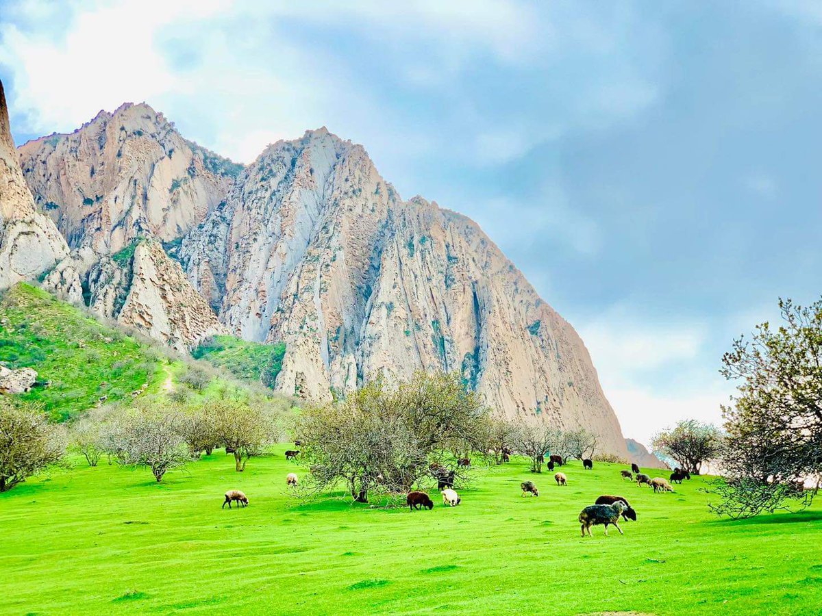 afghanistan1919's tweet photo. ولسوالی مارمل #بلخ
#Marmol #Balakh https://t.co/bTd7terfkU