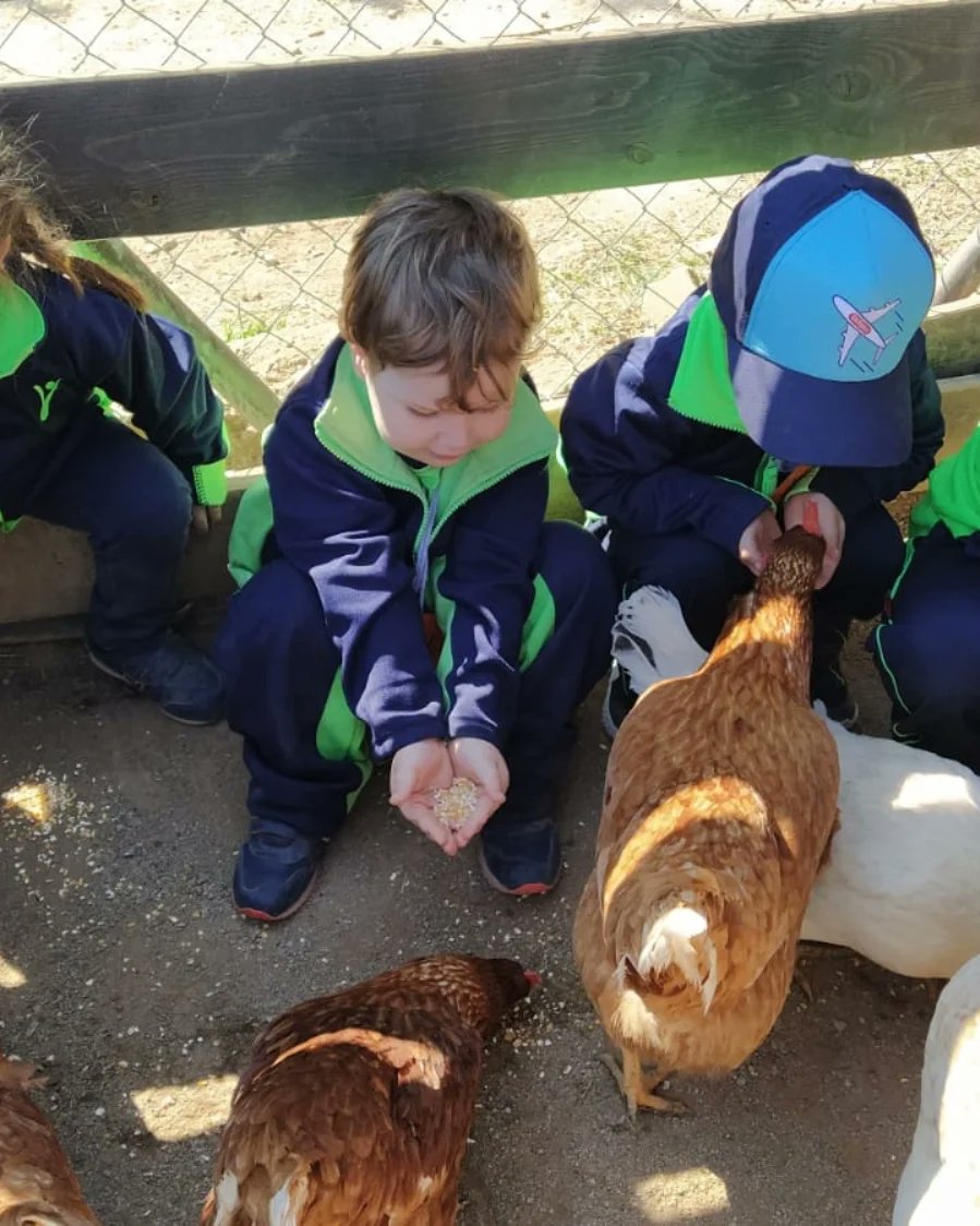 epiasabadell's tweet photo. ANEM A BUSCAR ELS OUS DE PASQUA
Els Castellers i els Gegants hem anat a la masia de Can Deu a gaudir de la natura, hem vist animals i hem trobat ous de Pasqua. Ens hem divertit moltíssim!!!
#I3PIASABADELL
#INFANTILPIASABADELL https://t.co/sQHgZzU9vE