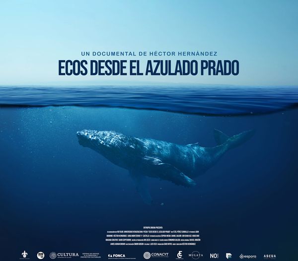 #FestivalUVdelMar El mar inspira y este es un ejemplo: presentación work-in-progress del corto "Ecos desde el azulado prado", una producción de #NoFilm dirigida por <a href="/HectorRiddle/">Héctor Hernández</a>  ¡Acompáñanos!
📅jueves 23 de marzo⏰ 18:00 h
📌 <a href="/MuseoMAX/">Museo de Antropología de Xalapa</a> 
<a href="/DGDCulturalUV/">Difusión Cultural UV</a> <a href="/LuzioUV/">Luzio UV</a> @ComunicacionUV