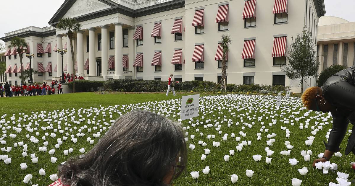 Florida passes on millions in federal gun violence prevention funds trib.al/A4B1IF1