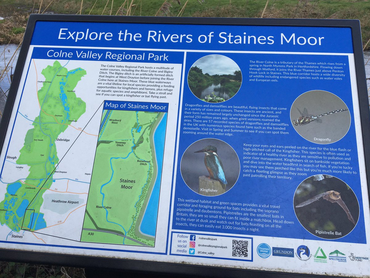 RSPB_Richmond's tweet image. Twelve members of our group met at Staines Moor this morning. Despite the windy conditions followed by rain, highlights included 3 wheatears (2m&amp;amp;1f) water pipit,sparrowhawk (f) pair red kites, blackcap, singing chiffchaffs &amp;amp; 2 bickering male Reed buntings