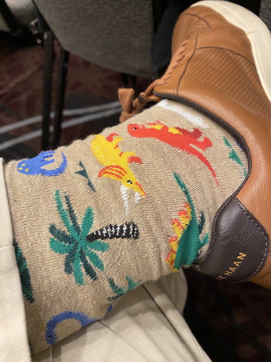 JimmyLeak_PhD's tweet photo. Dinosaur #SocksofAEFP https://t.co/lvuAq4wkc7