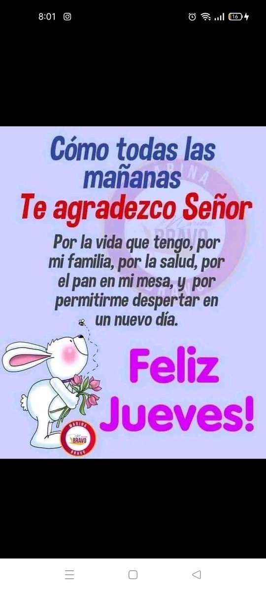 Excelente jueves