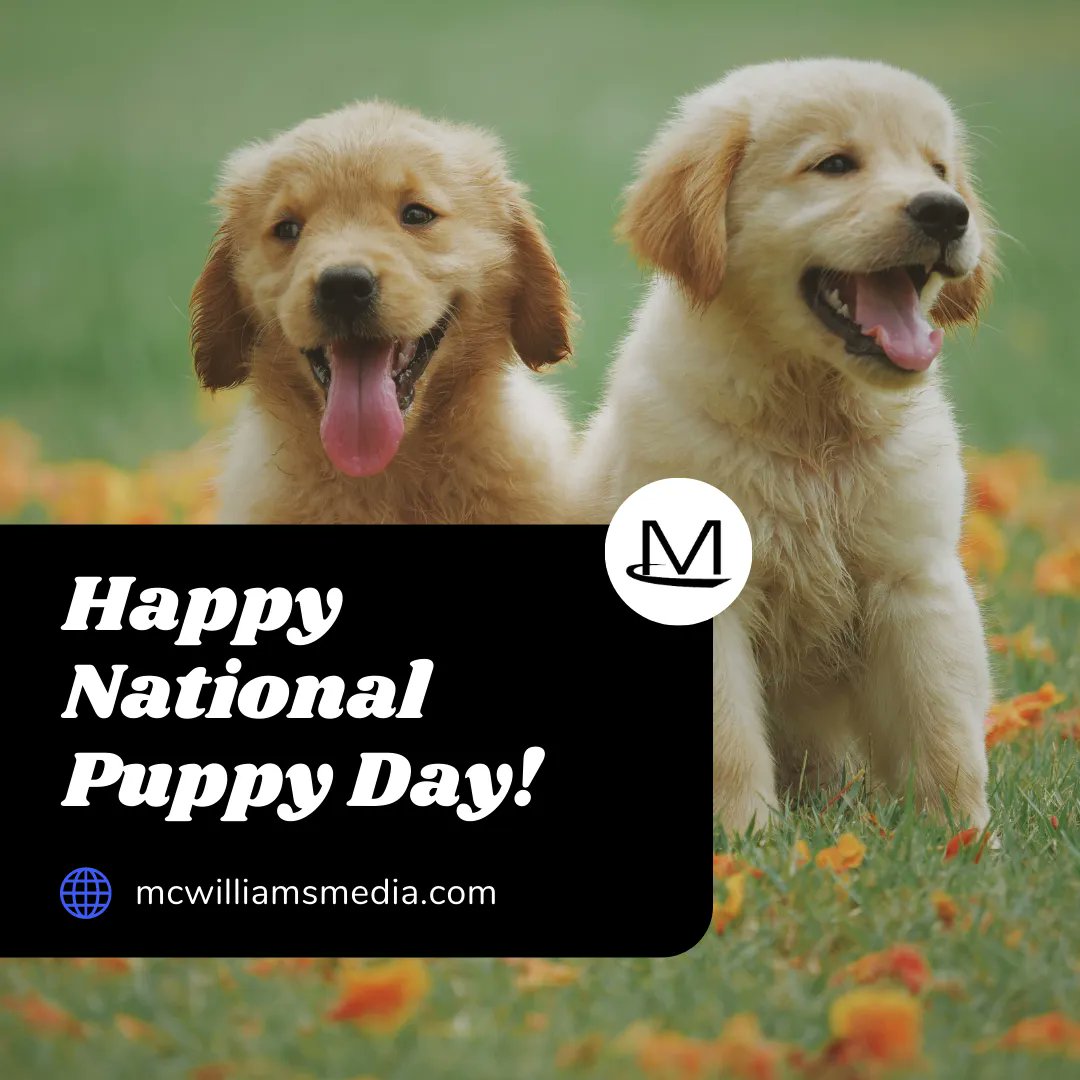 mcwmedia's tweet photo. Happy National Puppy Day! ๐ From playful puppies to loyal companions, let's give all the dogs out there extra love, attention, & treats today! We wish you a paw-some day! ๐พโค๏ธ๐ถ
#NationalPuppyDay #McWilliamsMedia #PuppyLove #Puppies #Dogs #Tulsa #TulsaWebDesign #TulsaMarketing https://t.co/Eg71K1zPWe