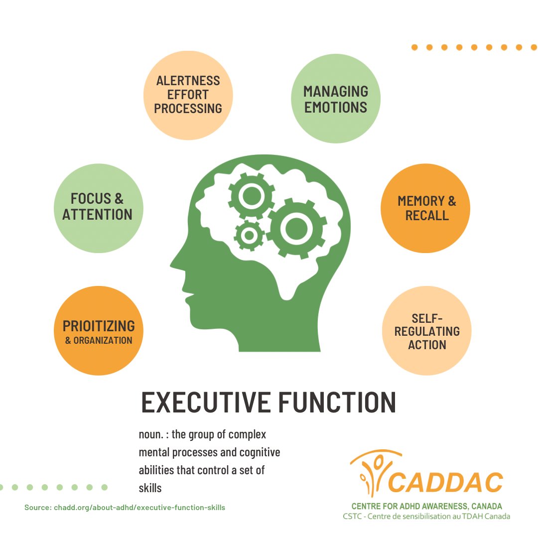 CentreforADHD's tweet photo. Executive Functions are the mental processes that enable us to focus, plan, remember, initiate tasks, problem solve, and manage emotions.
As a result, EF impairment can cause difficulty with starting and completing tasks, organization, social skills, and memory.
#adhd #caddac https://t.co/g8pftPhudd