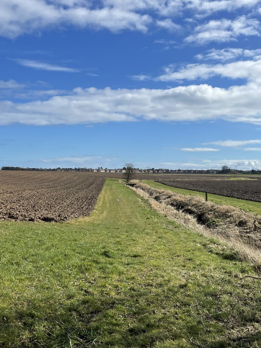 Another week of coring around the Montrose Basin - finding over a metre of the Storegga tsunami deposit! Thanks <a href="/TSuenamiDawson/">Sue Dawson</a> and @ajscuthbertson for the field support - sorry for the achy muscles 😋