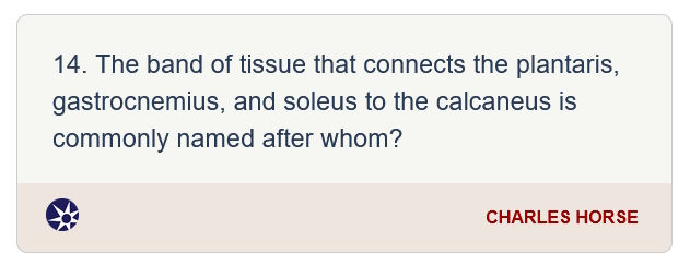 LearnedLeague's tweet image. #LL96 #bestwronganswers