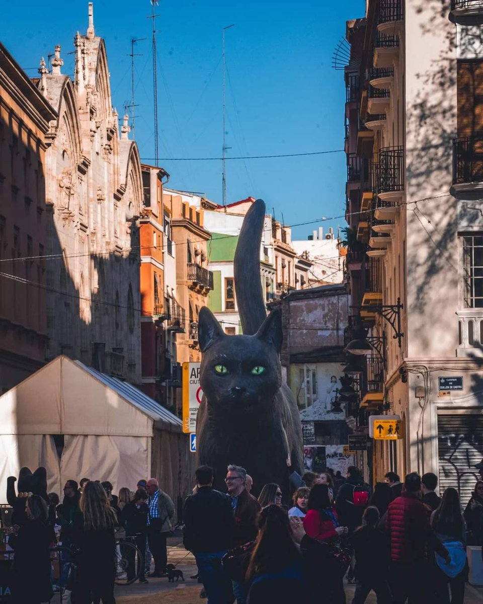 Yola Sanders tweet media