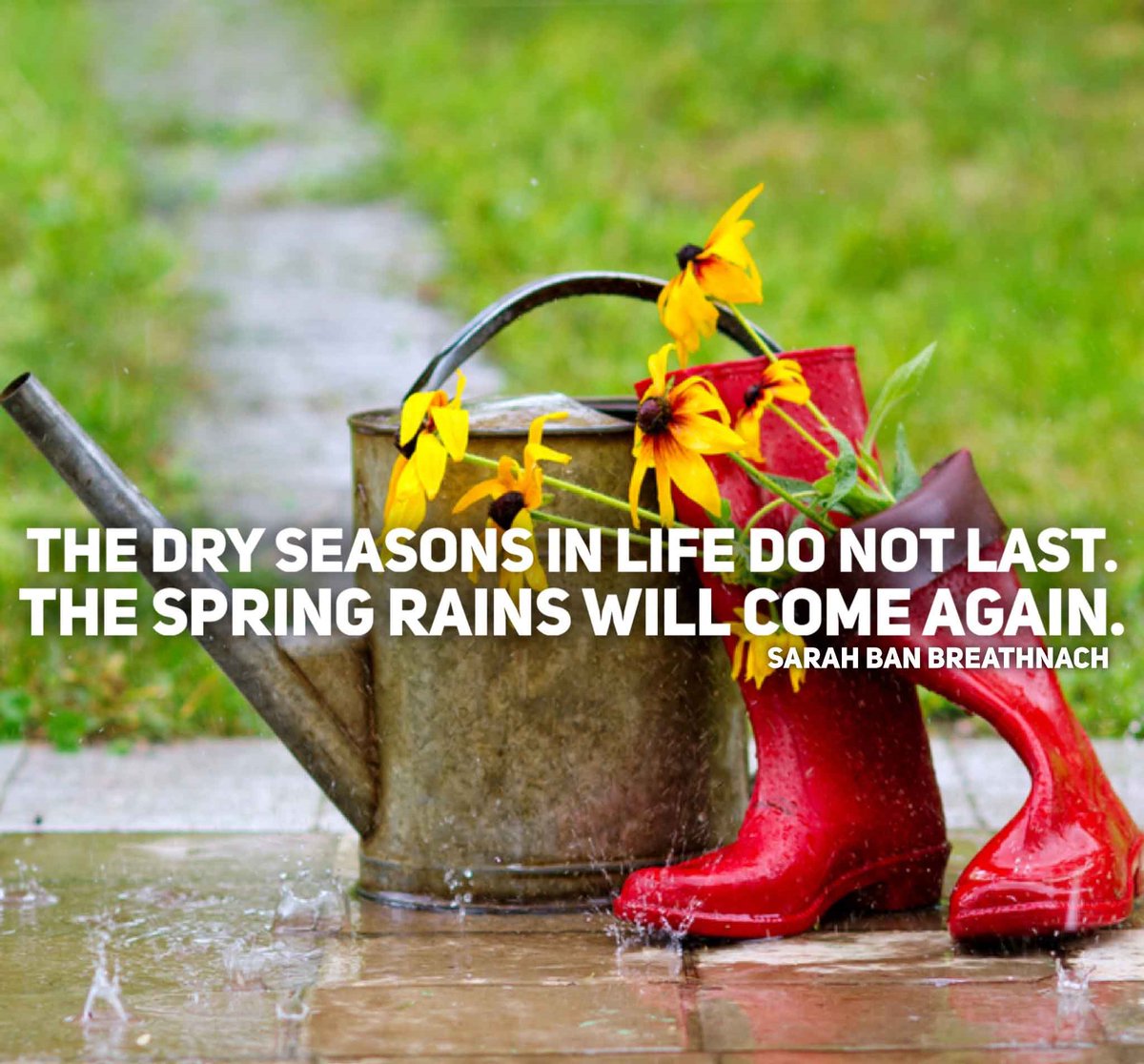 The dry seasons in life do not last. The spring rains will come again. #ThursdayMotivation #ThursdayThoughts #DrySeason #Spring
