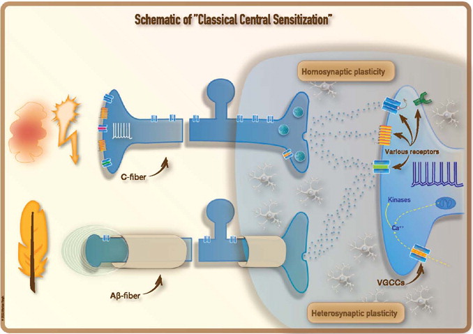 JOSPT's tweet photo. Get part 5 of the #PainScienceInPractice series on #CentralSensitization (part II) here π https://t.co/s93v7rLDAd
Parts 1-4 are below
Part 1 - https://t.co/mPjzTnuVNc
Part 2 - https://t.co/cGGP6I0cFr
Part 3 - https://t.co/e0z37460Fk
Part 4 - https://t.co/ELyZSVKYzs
#yourJOSPT https://t.co/JC8dC5FzKm
