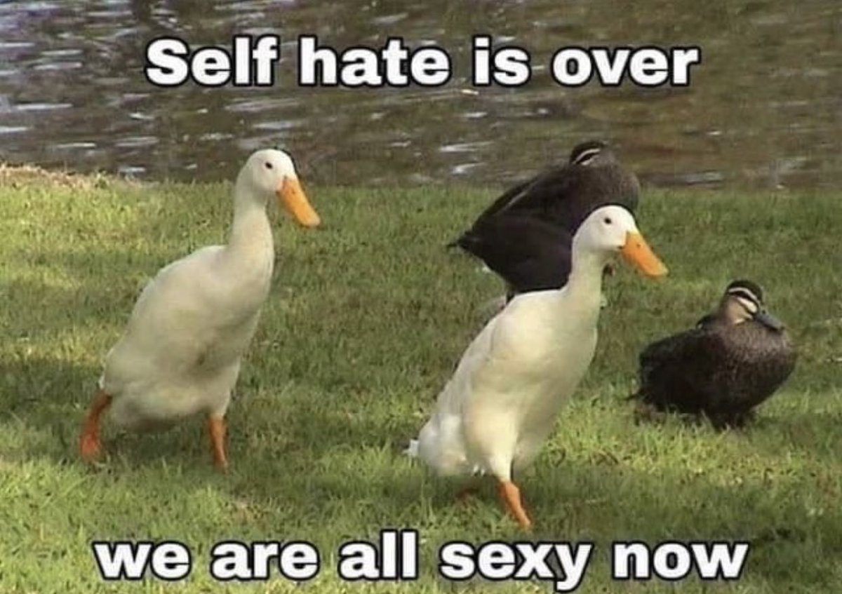 whotfisjovana's tweet image. 