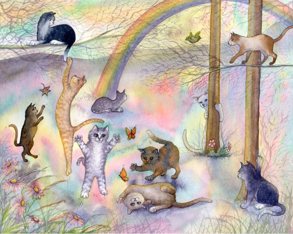 catgirl321's tweet photo. @SkittlesFriends Dear The Big Guy, I so sorry for tragic loss of precious Caesar💔😿 *gentle pawhugs* Please know your sweet boy was carried up to Rainbow Bridge in the arms of one of God’s Angels💫✨Me and efurryone here taking great care of him now🌈🌟#AngelCaesar #AngelsTogether #RIPCaesar https://t.co/XfkaVGR6rR