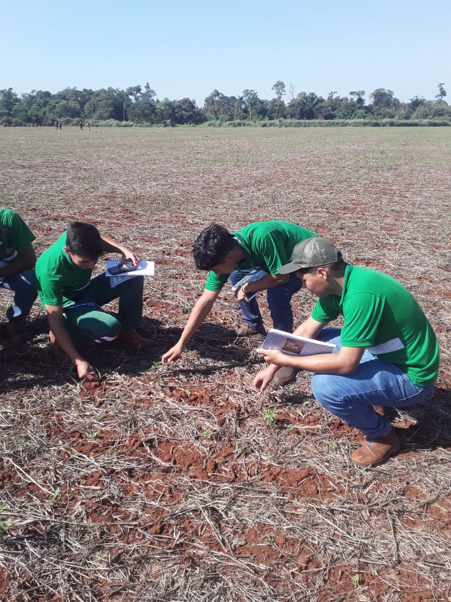 MgEscuela's tweet photo. De lo teórico a la práctica ! 
Los alumnos del segundo curso BTA en la cátedra de agricultura hicieron el monitoreo de la parcela de maíz zafriña.. con el Lic. Hugo Medina !
#seguimos #firmando #jovenestodoterreno 
@magparaguay https://t.co/uZ9HbybYha