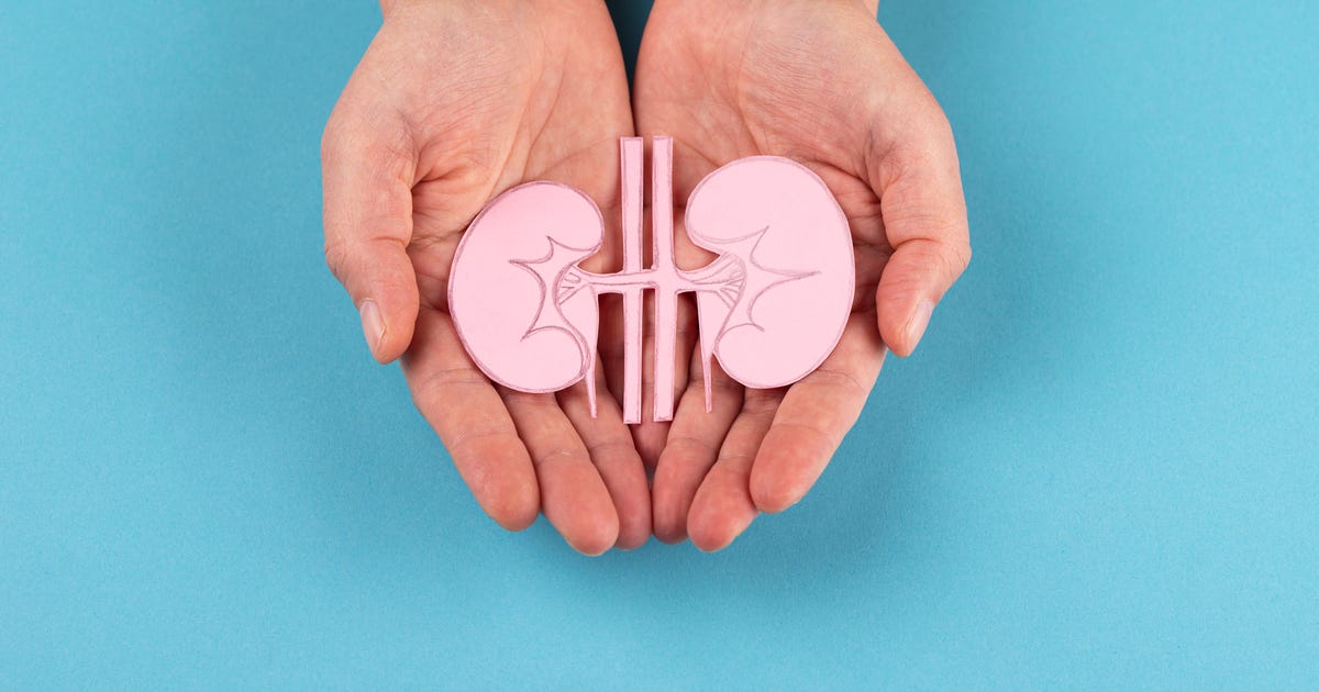 NET____Business's tweet photo. 13 Best Foods for Kidney Health - CNET: Add these nutrient-rich foods to your diet for optimal kidney health. https://t.co/4AWCEiA7wT https://t.co/XlOliKIWRN